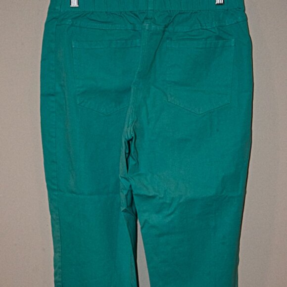Isaac Mizrahi Teal Cropped Pants Size 14P - Picture 2 of 4